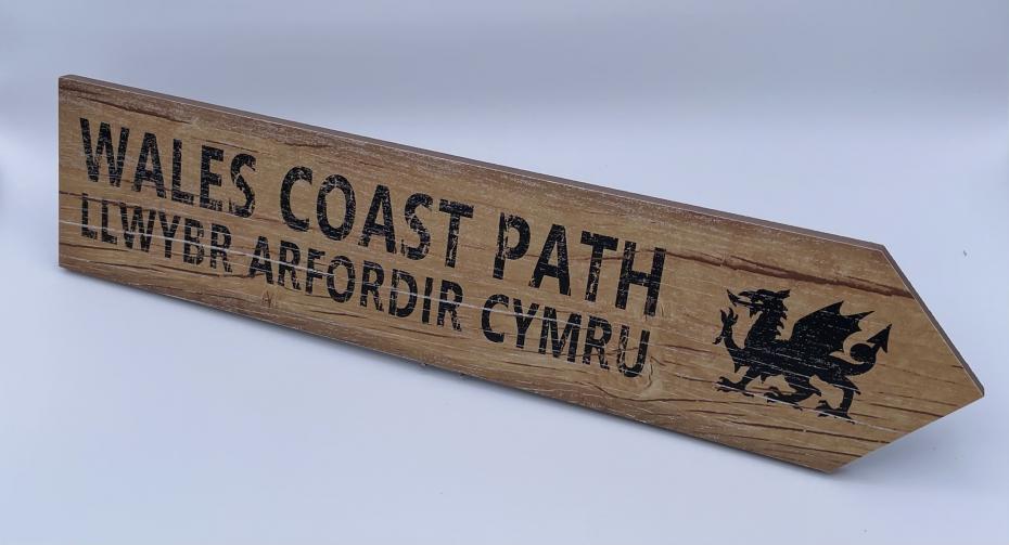 Wales Coast Path dragon - wood effect